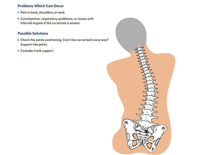 Sitting Wedges - How Can They Benefit You And Help Your Back Pain?