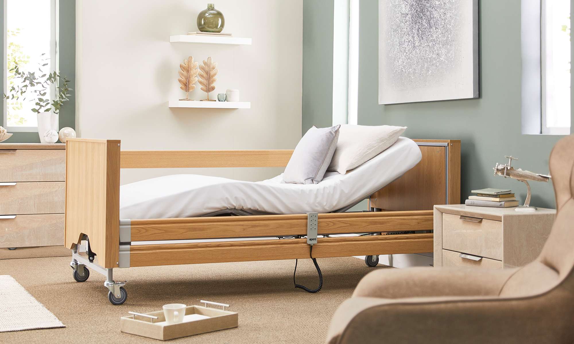 Electric Profiling Bed Classic Vivid Care