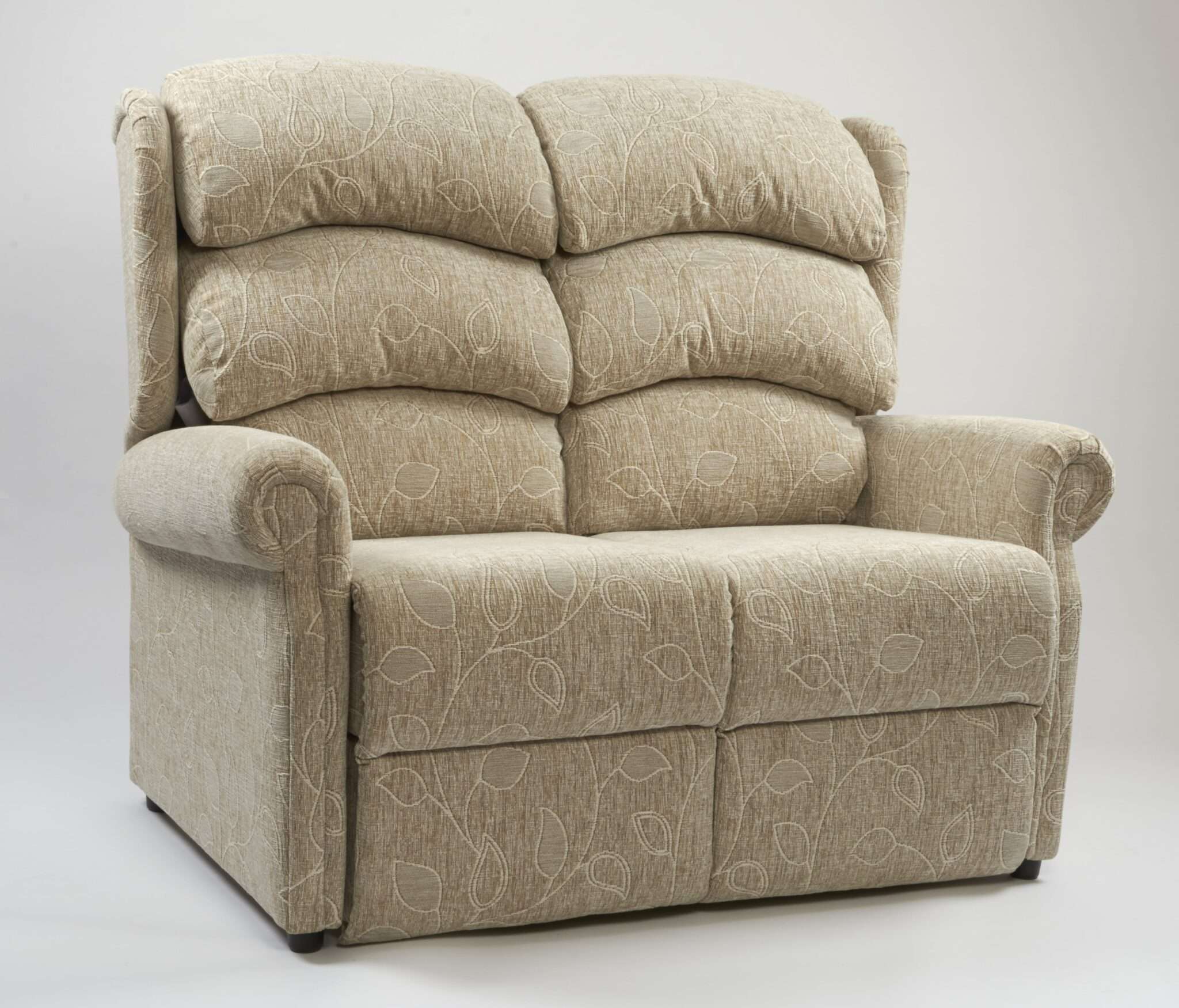 Rise Recline Settee Sofa