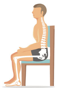 Normal posture when sitting should have a slight natural curve in the spine