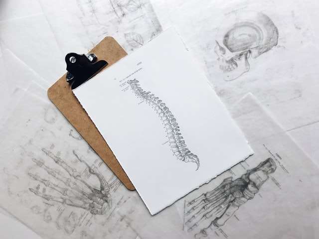 A diagram of the spine from the side on a clipboard