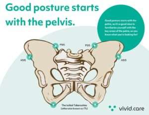 good posture starts with the pelvis