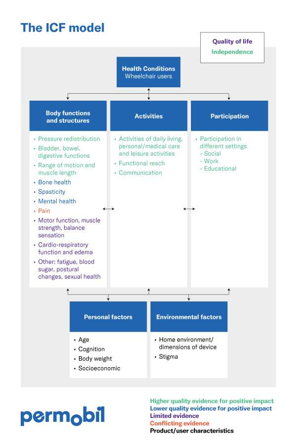 The ICF model