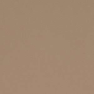 Paint Pot Beige