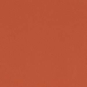Paint Pot Burnt Orange