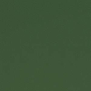 Paint Pot Grass
