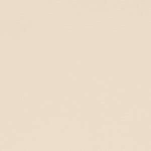 Paint Pot Ivory