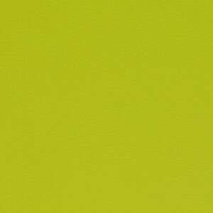 Paint Pot Lime