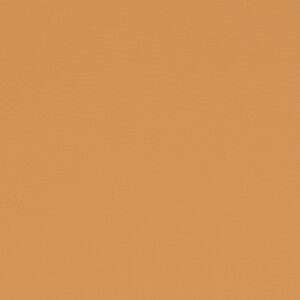 Paint Pot Mustard