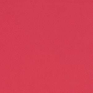 Paint Pot Rose