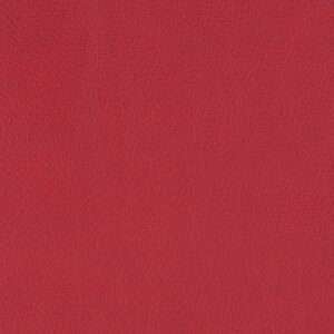 Paint Pot Scarlet