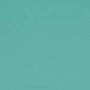 Paint Pot Spearmint