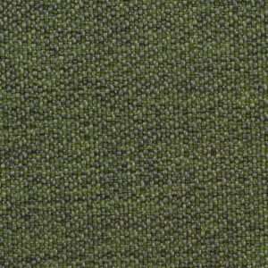 Riva Olive