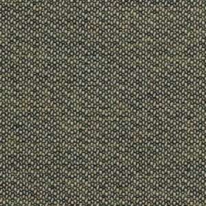 Riva Spruce