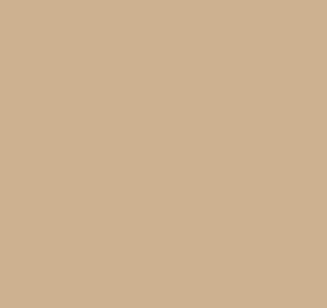 Dartex Beige