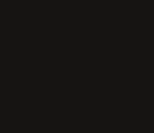 Dartex Black