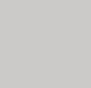 Dartex Light Grey
